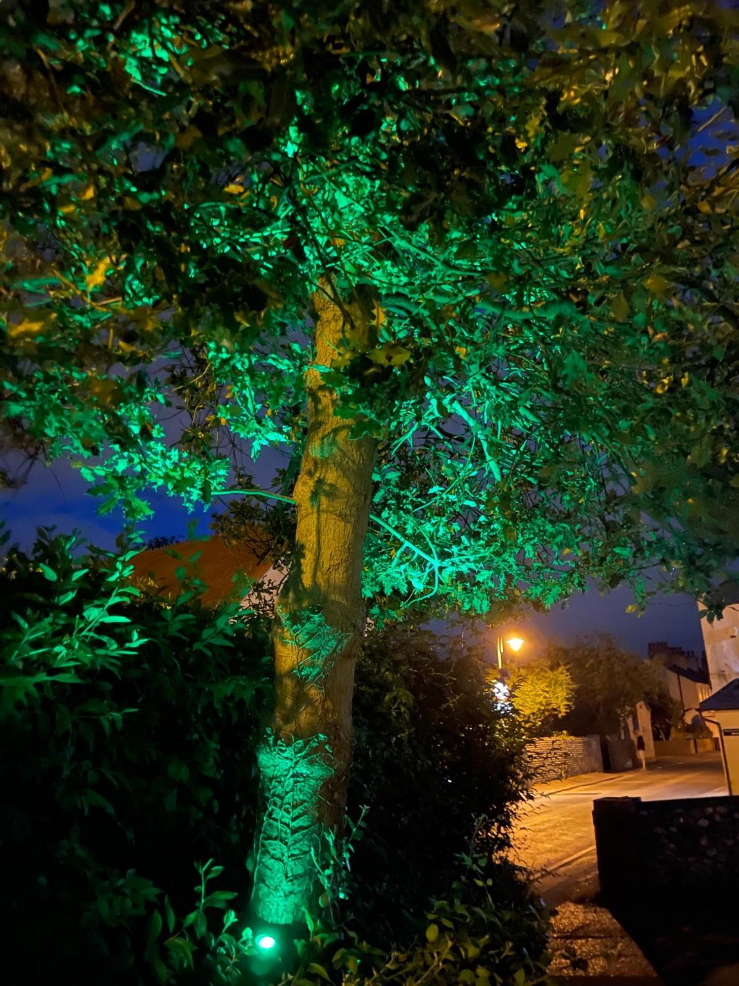 Close To Sea And South Downs National Park - Sompting المظهر الخارجي الصورة